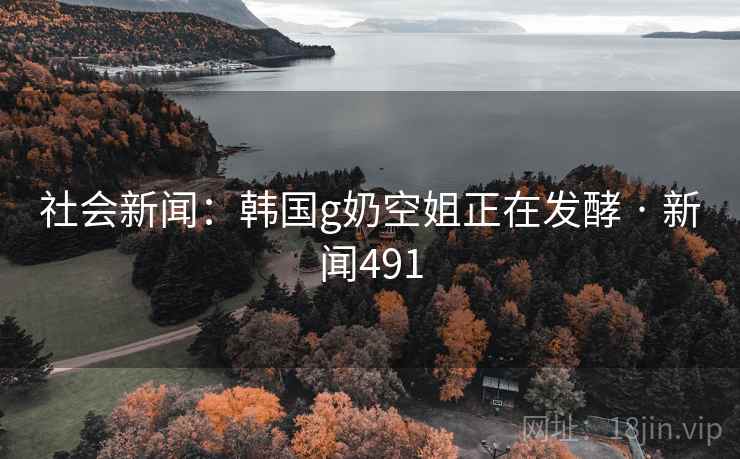 社会新闻：韩国g奶空姐正在发酵 · 新闻491
