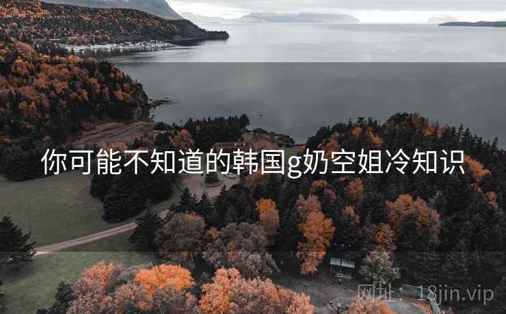 你可能不知道的韩国g奶空姐冷知识