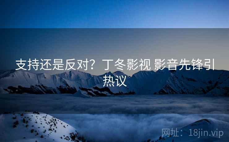 支持还是反对？丁冬影视 影音先锋引热议